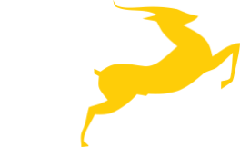 Gazelle Transportation (Development)